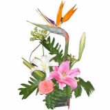Ӧʻٵ